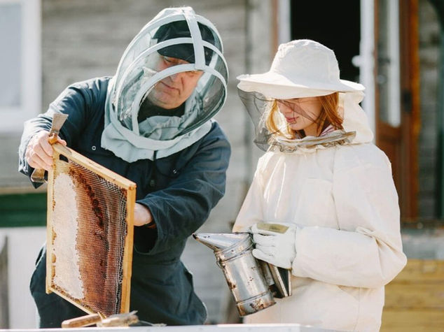 Bee removal work