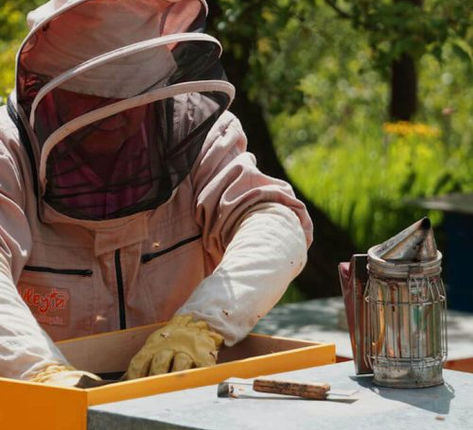 Bee removal work